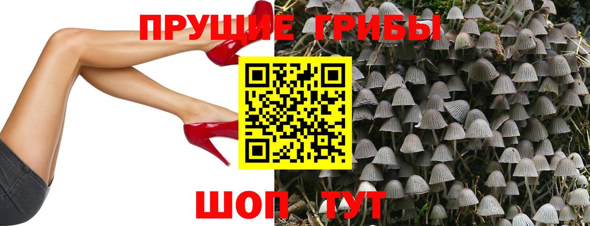 Галлюциногенные грибы GOLDEN TEACHER Мытищи